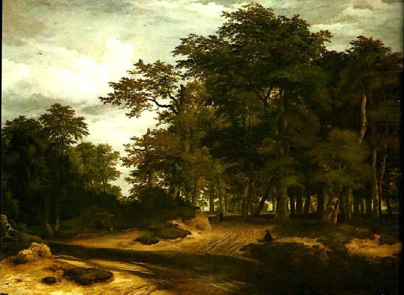 den stora skogen, Jacob van Ruisdael